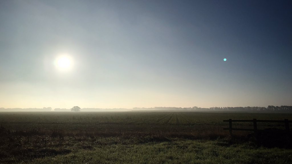 ElaineAGBrown's tweet photo. Sunlight reveals a solitary tree since shrouded by the morning mist #TakingAMinute #Glorious https://t.co/H2NIoEsap8