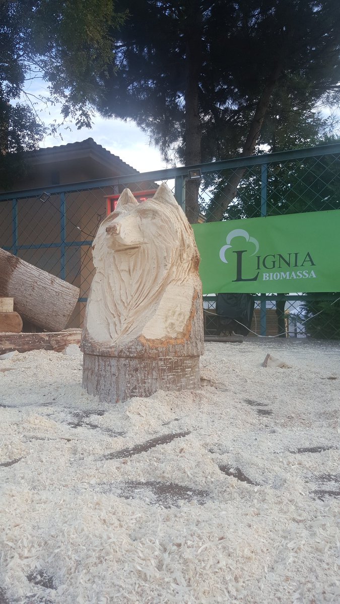 De tronc a escultura. Ahir a la tarda a la <a href="/FiraBiomassa/">Fira de Biomassa</a> a #Vic. De les mans de Javier Gisbert Andrés, un artista! Si voleu veure més obres d'art seves el podeu trobar a facebook.