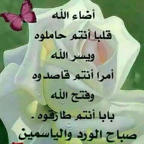 اللهم ابعد عنا
أذى الدنيا
وحيرة النفس
وحزن الليل
وبكاء القلب
وسوء الخاتمة
اللهم يامن تنفس الصبح بأمره
وتوزعت الأرزاق بكرمه
أمطر علينا بركاتك
وبلغنا أسمى مراتب الدنيا
وأعلى منازل الاخرة
اللهم ارزقنا إجابة الدعاء
وصلاح الحال
والاهل والمال
حسن الآداء
وبركةالعطاء
#قروب_عشاق_فلسطين