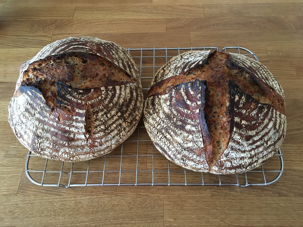 mrgn_eats's tweet photo. 🍞39: Pain de Campagne, using spelt flour and generous amount of sesame and flax seeds. Scoring experiments. #fwsy https://t.co/HVdLjAt0l1
