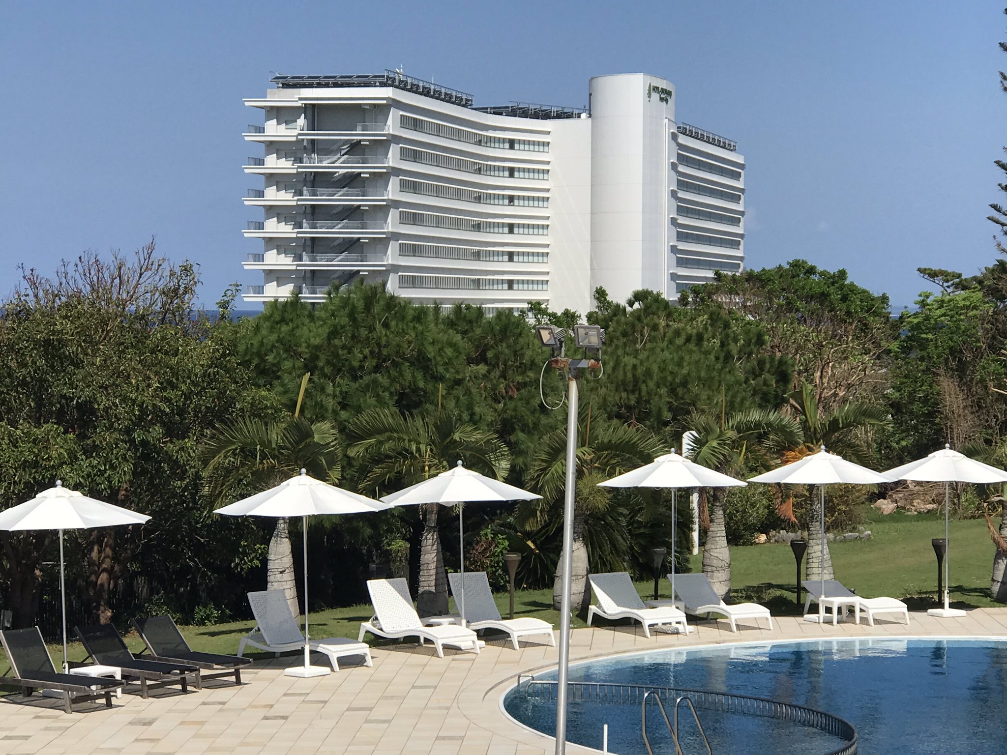 コスモス on Twitter 