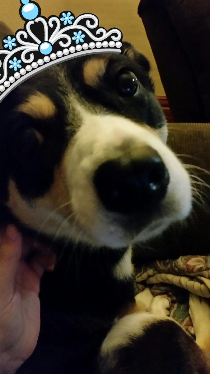 aaron (@guitbox112) on Twitter photo 