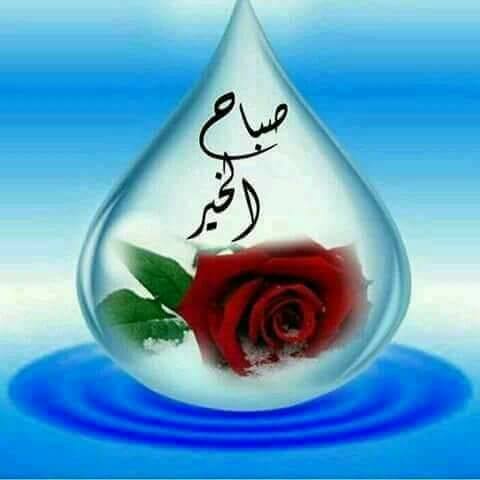 aadlmhmod1's tweet photo. https://t.co/53s3tY0Ayr