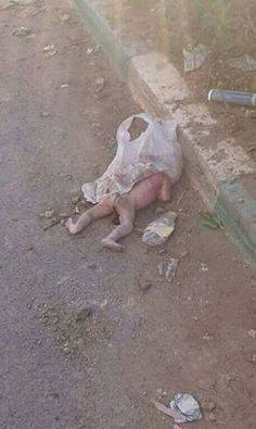 اطفال الإسلام على الرصيف
البعض موتى والبعض أحياء
ماذا دهى اتباع الدين الحنيف
صاروا هدفا لكل أهل البغاء
وصار الحكام كل ما يشغلهم الكرسي
تدفع المليارات من اجل البقاء على الكرسي
وتدفع ايضا من اجل تثبيت انقلاب
وتدفع كذلك فى شراء اسلحة لقتل شعوبهم
هكذا اصبح حال الامة
#قروب_عشاق_فلسطين