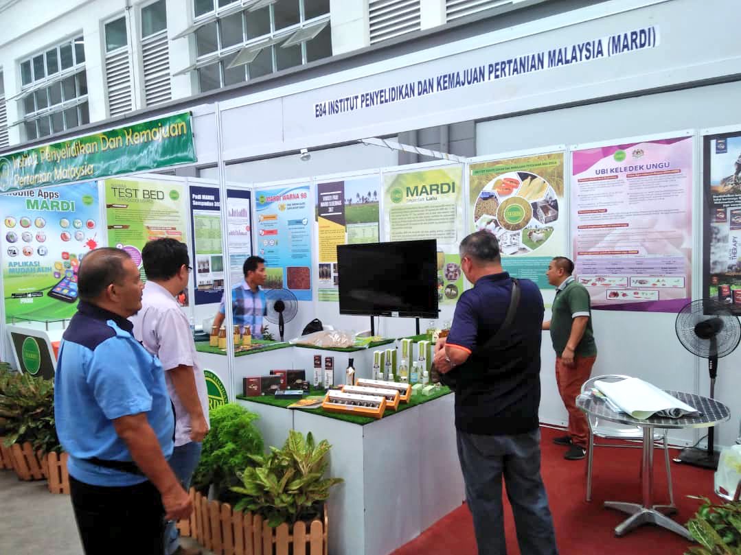 MARDIKuching's tweet photo. Boh lupak ngabas booth MARDI di #SarawakAgroFest 20-28 Oktober 10am-10pm di Penview Convention Centre, Demak, Kuching okay! Ada macam-macam teknologi dipamer di sitok. Rugi sik datang! #betterMARDI

@mardimalaysia
@SAgrofest https://t.co/BGLjNAZDi5
