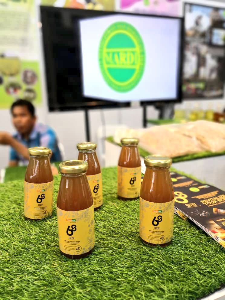 MARDIKuching's tweet photo. Boh lupak ngabas booth MARDI di #SarawakAgroFest 20-28 Oktober 10am-10pm di Penview Convention Centre, Demak, Kuching okay! Ada macam-macam teknologi dipamer di sitok. Rugi sik datang! #betterMARDI

@mardimalaysia
@SAgrofest https://t.co/BGLjNAZDi5