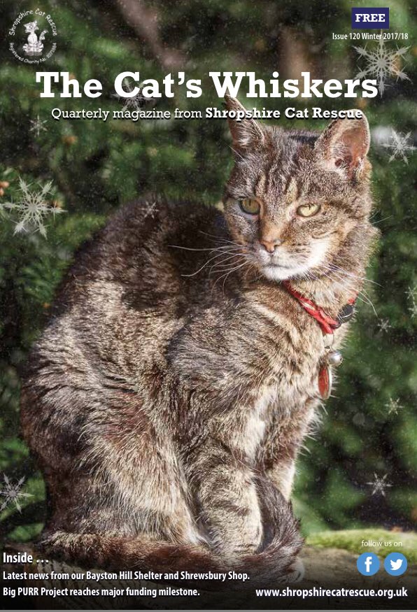 bigPURRproject's tweet photo. Why not become a #sponsor of our quarterly #magazine #TheCatsWhiskers? It’s full of interesting articles about cat care, the work of @ShropsCatRescue &amp; our exciting plans for the future. 

https://t.co/5sUGI6ukOJ

#VIP treats for our lucky #sponsors #Shrewsbury #Shropshire RT https://t.co/gGsuDUWarq