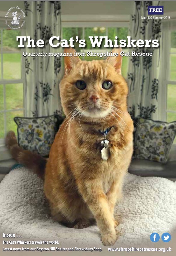 bigPURRproject's tweet photo. Why not become a #sponsor of our quarterly #magazine #TheCatsWhiskers? It’s full of interesting articles about cat care, the work of @ShropsCatRescue &amp; our exciting plans for the future. 

https://t.co/5sUGI6ukOJ

#VIP treats for our lucky #sponsors #Shrewsbury #Shropshire RT https://t.co/gGsuDUWarq