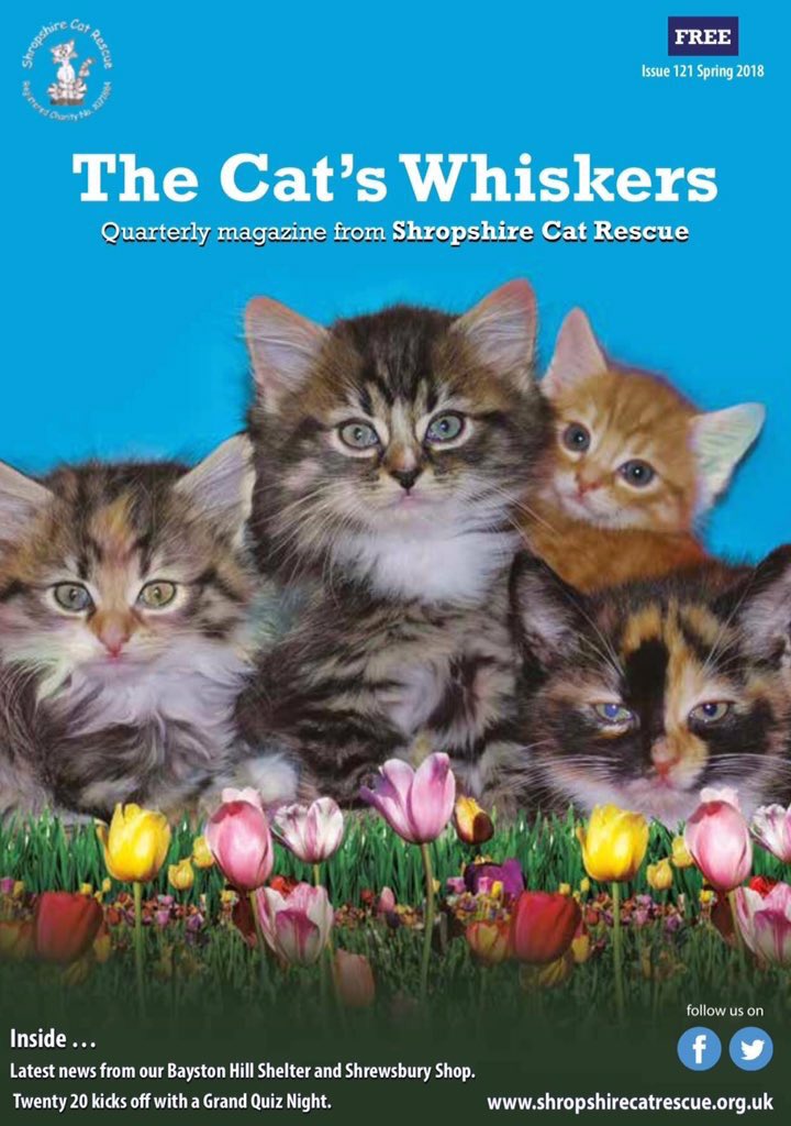 bigPURRproject's tweet photo. Why not become a #sponsor of our quarterly #magazine #TheCatsWhiskers? It’s full of interesting articles about cat care, the work of @ShropsCatRescue &amp; our exciting plans for the future. 

https://t.co/5sUGI6ukOJ

#VIP treats for our lucky #sponsors #Shrewsbury #Shropshire RT https://t.co/gGsuDUWarq