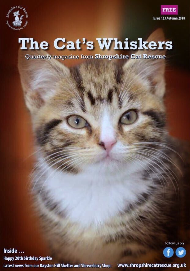 bigPURRproject's tweet photo. Why not become a #sponsor of our quarterly #magazine #TheCatsWhiskers? It’s full of interesting articles about cat care, the work of @ShropsCatRescue &amp; our exciting plans for the future. 

https://t.co/5sUGI6ukOJ

#VIP treats for our lucky #sponsors #Shrewsbury #Shropshire RT https://t.co/gGsuDUWarq