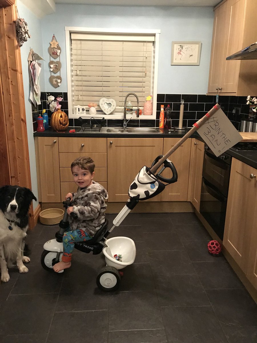 steph_heath1's tweet photo. Nearly ready! #bintheban #cardiffdogs #dogsinparks https://t.co/YWQ8Nd4Hb3