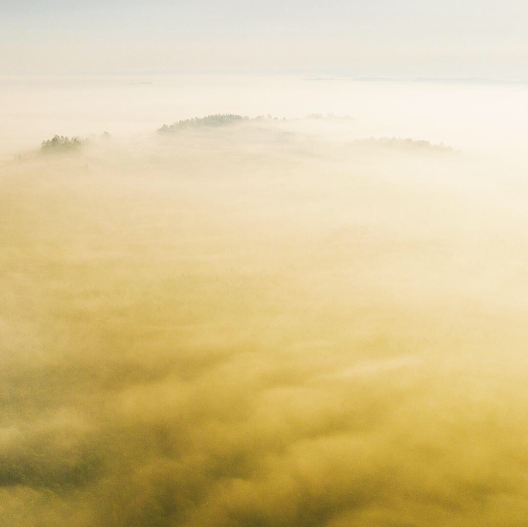 A. Aleksandravičius on Twitter 