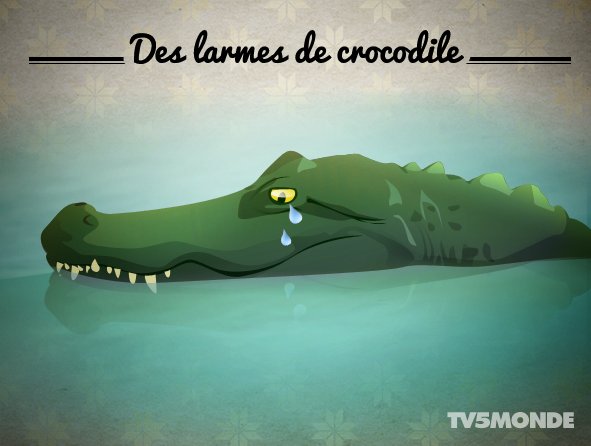 Tv5monde Japon Auf Twitter フランス語表現 動物 Des Larmes De Crocodile 直訳 ワニの涙 意味 何らかの目的のために涙を流すふりをすること Tv5monde Japon Auf Twitter フランス語表現 動物 Des Larmes De Crocodile 直訳 ワニの涙 意味 何らかの目的のために涙を流すふりをすること