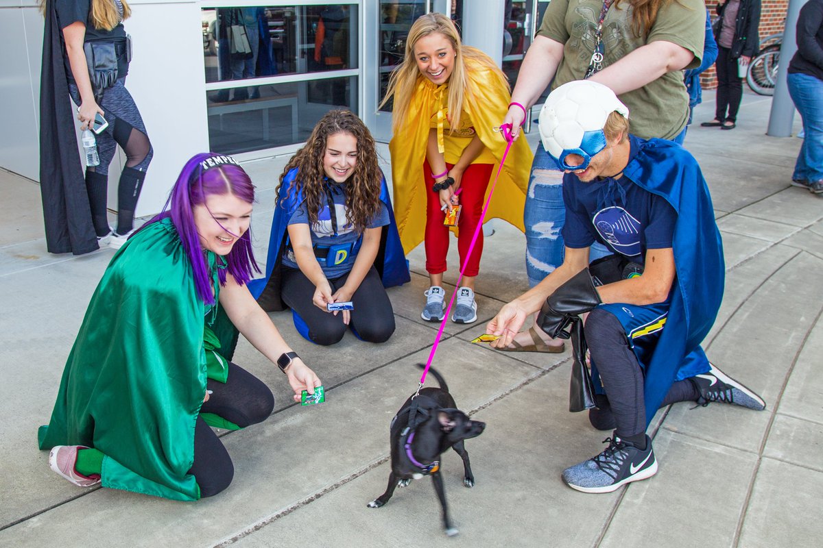 RaymondDWoodsJr's tweet photo. The dog doesn’t seem to be nearly as interested in collecting Weather Friends trading cards as the kids are.

#NWF18 
@nwcwxfriends https://t.co/xv6PyQnLbg
