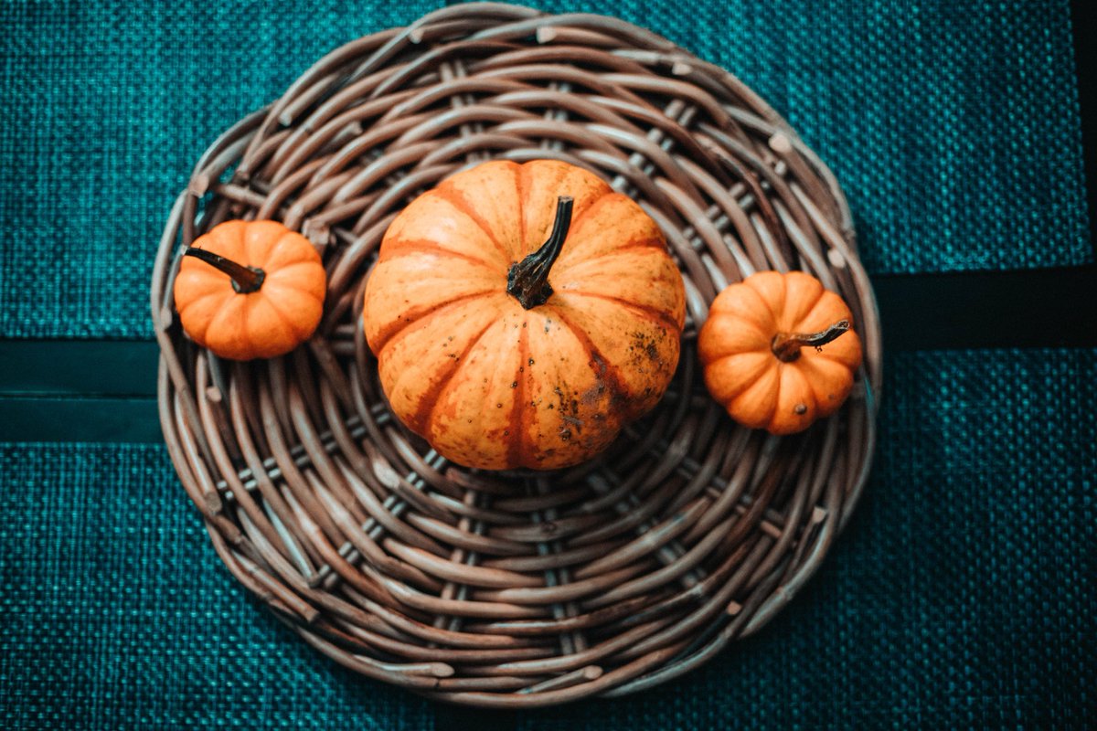 WomenWellness's tweet photo. What is your favorite part of the fall season? 🎃🧡🍂🍁🌾 https://t.co/Zz0s0V7DIp