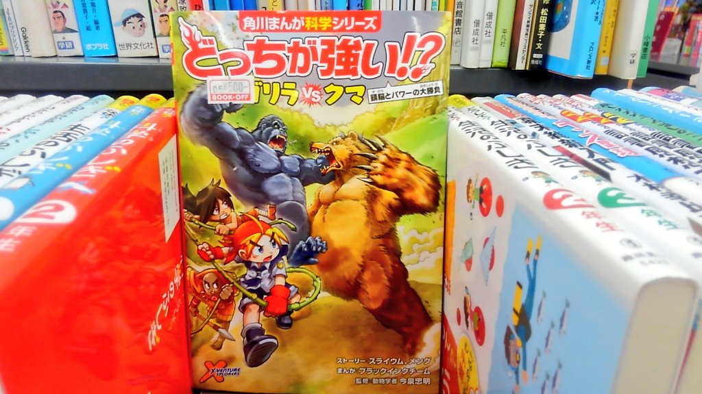 ゴリラｖｓクマ