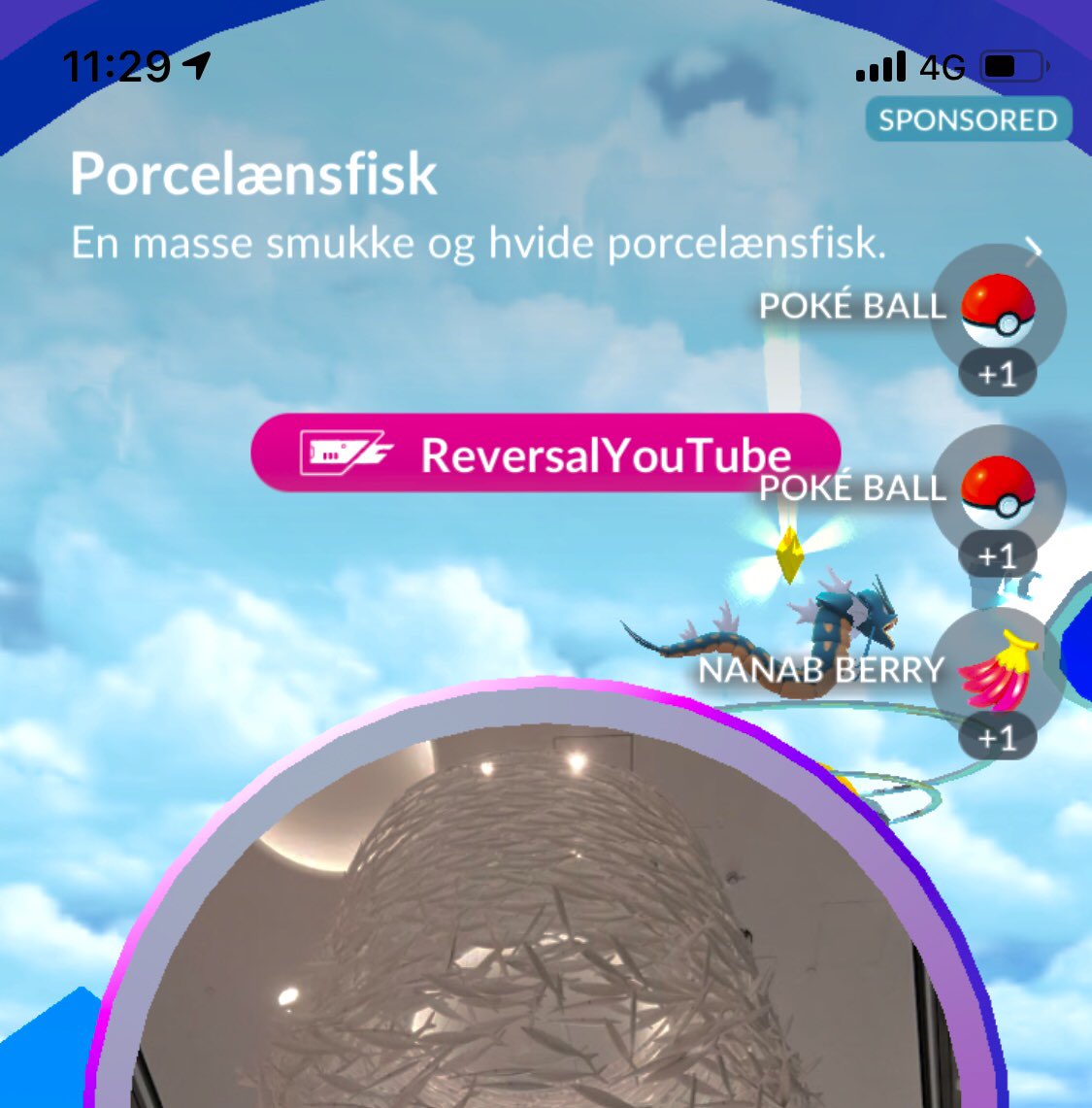 CoolCatHat1's tweet photo. #ReversalYouTube 🌟 #PokemonGo https://t.co/4P0TdlpvsS
