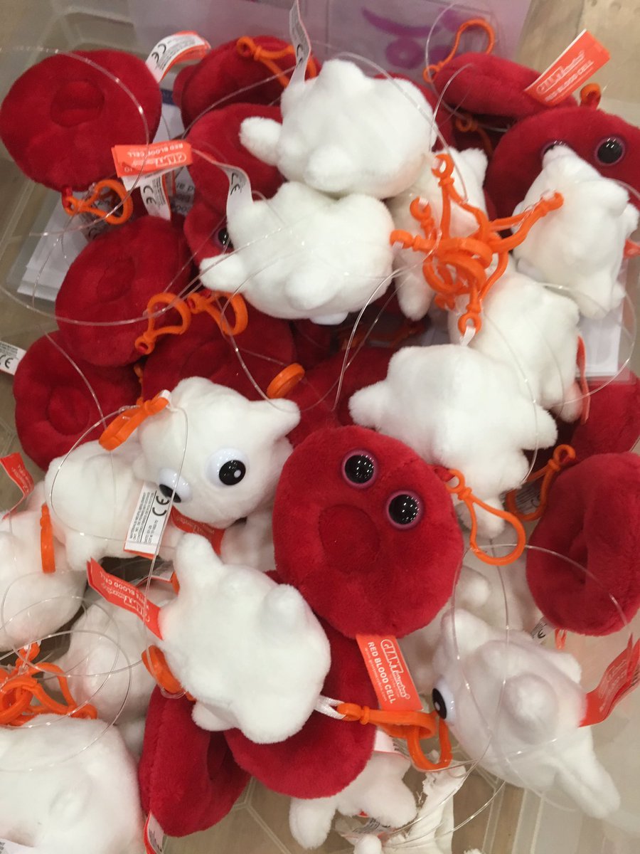 MRC_WIMM's tweet photo. The cuddly toys and the aqua crystals are out of the bags! Gearing up for our Blood Factory stand today @TheOxfordAcad, part of @Oxford_IF! #IfOx2018 https://t.co/dt2v5ufC7B