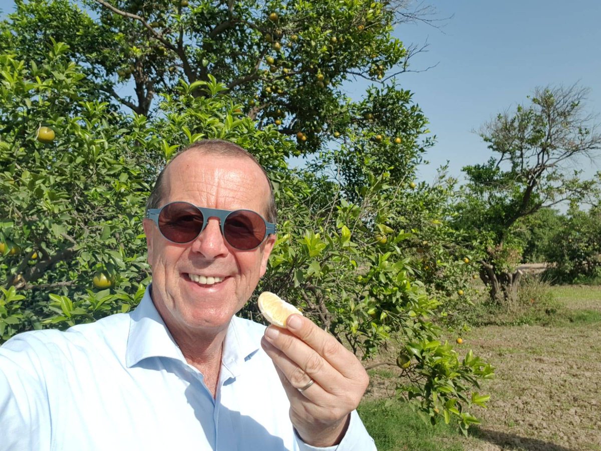 GermanyinPAK's tweet photo. #Sargodha is best known for its #orange production. 🍊  Astonished to see so many different breeds like #kino #malta #fruiter #khata #musammi #sangatra and many more. Not ripe yet, but looking forward to trying sweet oranges in winter. Will definitely come back in December! https://t.co/5DMLG2d0hr