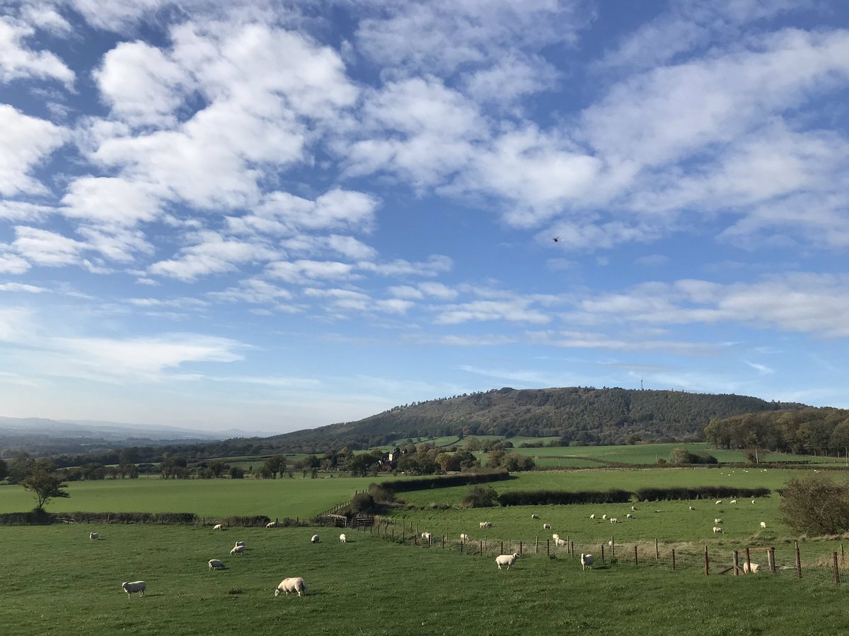 ManelRoura's tweet photo. Yesterday I completed stage 3 of Telford 50 50 mile trail from Little Wenlock to Wellington. It certainly is the most scenic of all stages and if you are lucky with the weather the views are breathtaking. @TelfordWrekin @TelfordHour https://t.co/9TrVbSNqOh