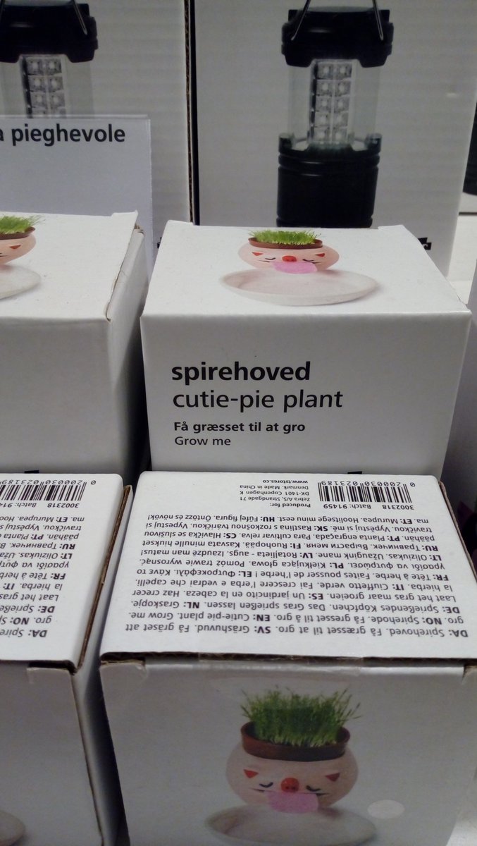 faceoddity's tweet photo. @MarziaPie found your plant https://t.co/jxrfOgCNIl