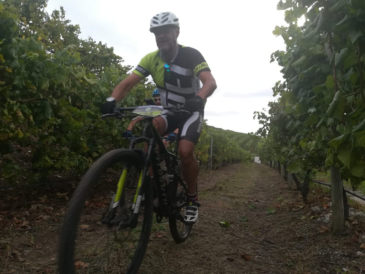 Ruta Vino Rías Baixas tweet media