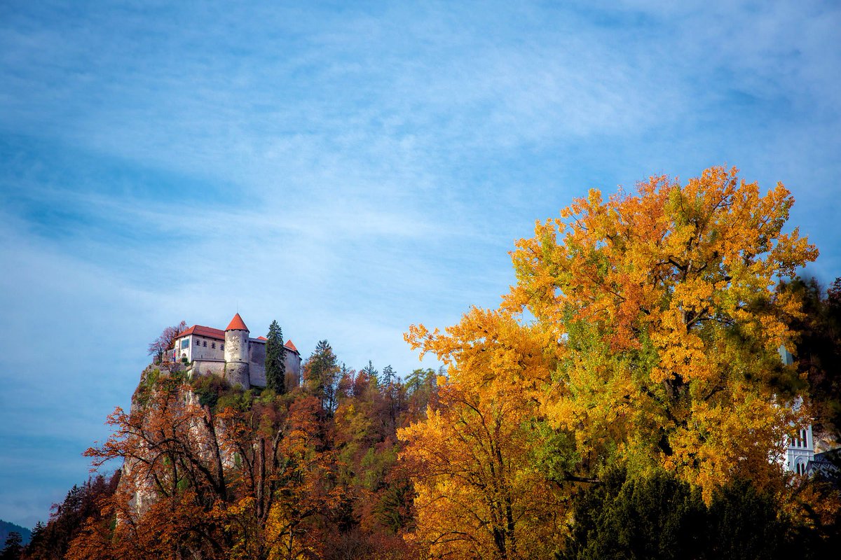 travel_slovenia's tweet photo. The #autumn colors are at their glorious best all across #Slovenia these days. (Images by Adrijan Pregelj, Bojan Kolman, Iztok Medja #photography) #nature #travel More stunning autumn photos of Slovenia: https://t.co/8UEDJmeovL https://t.co/6vvaykznav