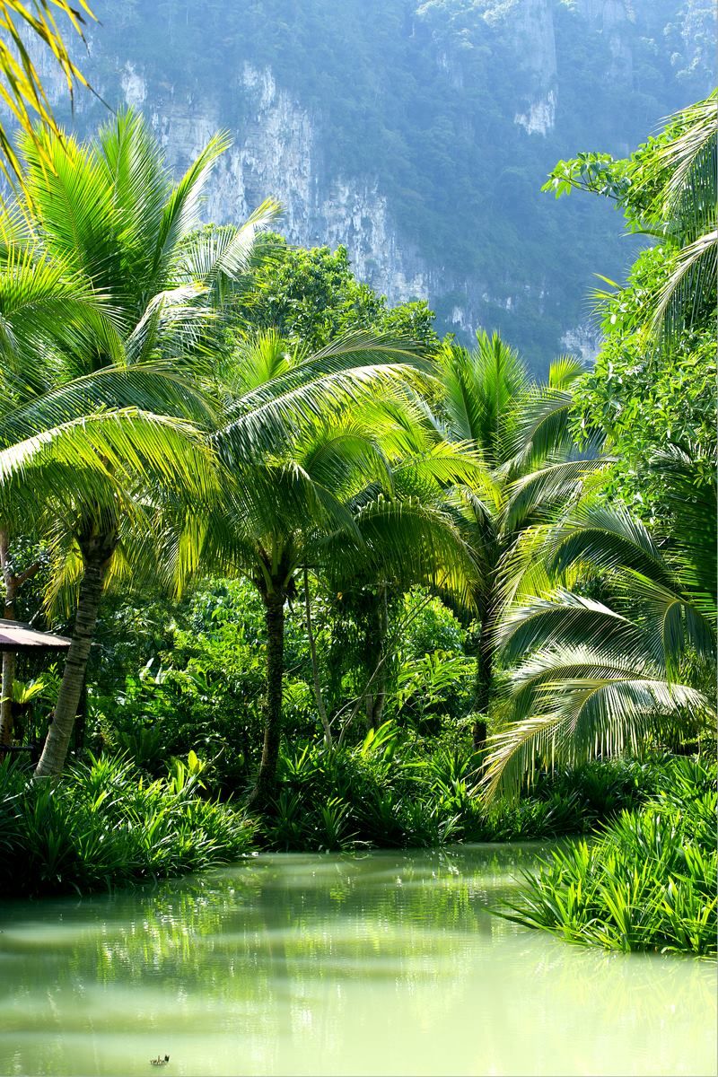 Lovely photography  Vía #geophotos9  #QuieroViajarMx
