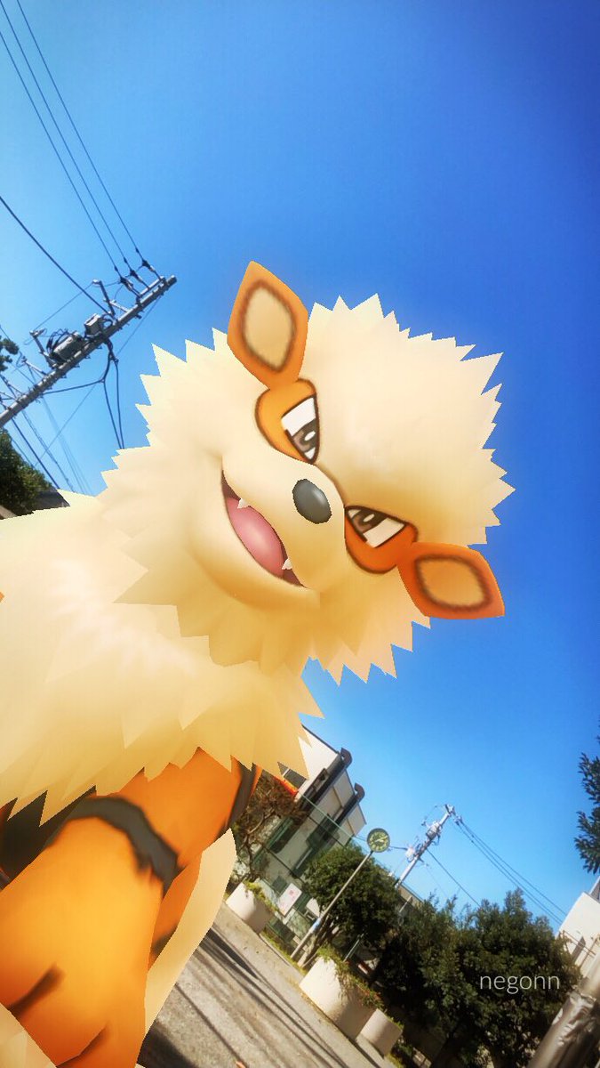 ねごん ポケモンgo コミュデイ中に現れたウインディ いままで野生で何回か出会ったけど 毎回タイミングがあわずarは 見送ってきたのでうれしい 撮影後 捕獲しようとしたら アプリフリーズで 捕獲できなかったけど気にしない ポケモンgo