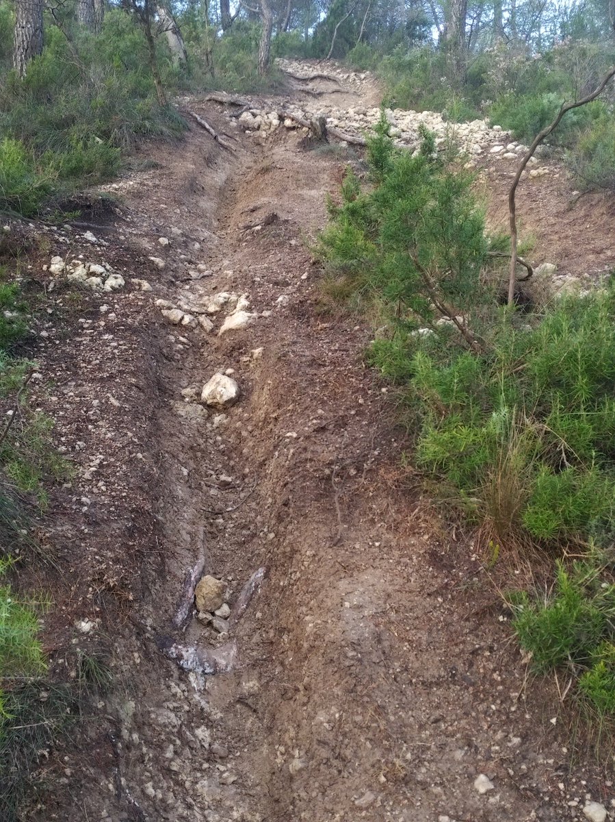 XavierCarles's tweet photo. Avui 9am #SerraCollBas #PRC119 #Anoia Cada vegada hi ha més motos destrossant els corriols de muntanya, @agentsruralscat penseu fer alguna cosa? Motos + pluja torrencial = erosió imparable @FCMotociclisme https://t.co/alpMZwNH6N