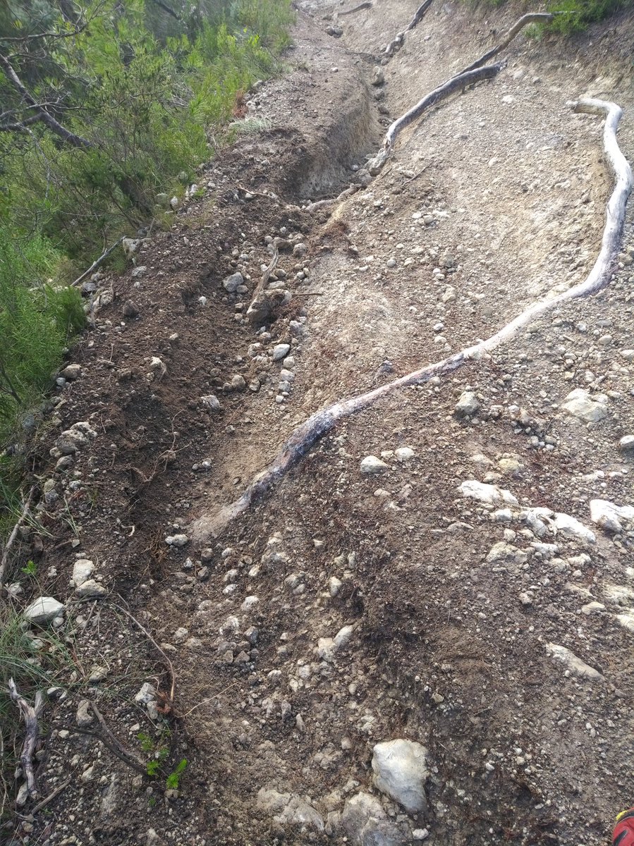 XavierCarles's tweet photo. Avui 9am #SerraCollBas #PRC119 #Anoia Cada vegada hi ha més motos destrossant els corriols de muntanya, @agentsruralscat penseu fer alguna cosa? Motos + pluja torrencial = erosió imparable @FCMotociclisme https://t.co/alpMZwNH6N