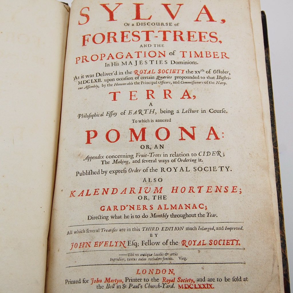 Of the mulberry, for drink, the juice of the berry mixed with cider-apples, makes an excellent liquor both for colour & taste #AppleDay #Sylva #Pomona