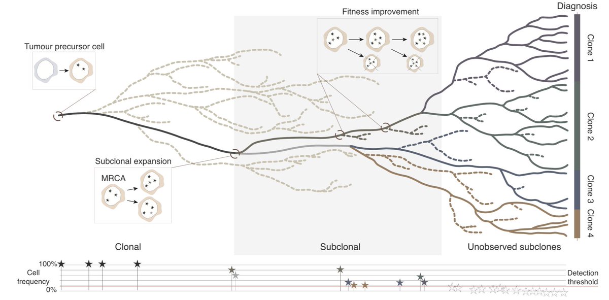 Transport Phenomena