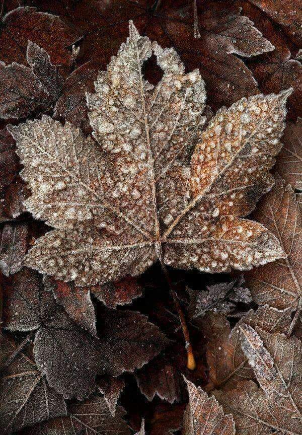Me dice la vida que dejes de quejarte y disfrutes porque ella va a "pasar" igual.

¡ Buenos días!
Feliz domingo 
♥️♥️♥️♥️♥️♥️♥️♥️♥️♥️♥️♥️♥️♥️