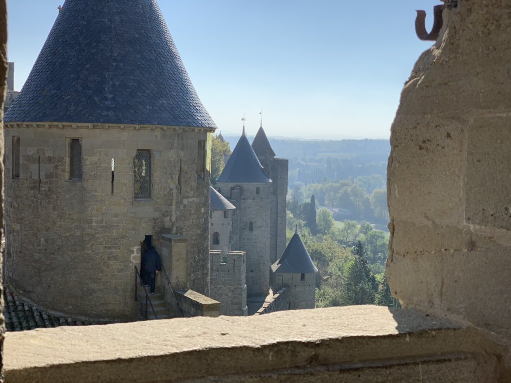 Shuji (まえしゅ) tweet media