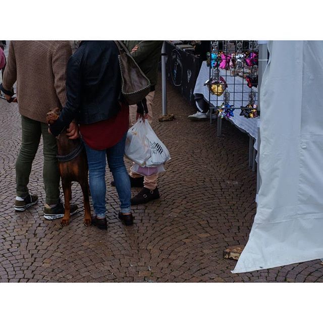 nazcro's tweet photo. Il grattato
.astia 23/36
.#dog_features #forli
#CaptureStreets #Life_Is_Street
#StreetsGrammer #TheStreetPhotographyHub #Pocket_Streetlife #Timeless_Streets #DreaminStreets
#FishEyeLeMag
#FriendsInPerson
#FriendsinStreets
#FromStreetsWithLove
#StreetSce… https://t.co/eAz22XBLQQ https://t.co/X6qc61ae0E