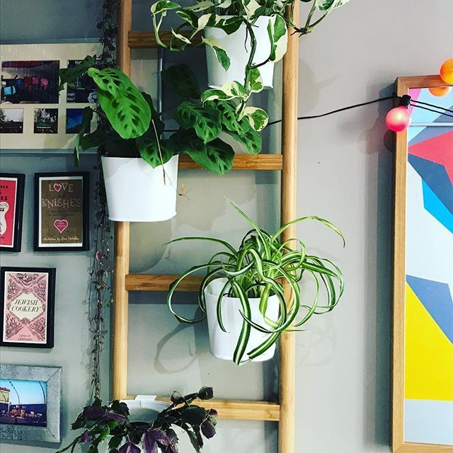 pickledbrisket's tweet photo. Love these @themightyquinnsfloweremporium @wappingwharf .
.
.
.
.
.
.
.
#plants #foliage #greenery #fresh #shippingcontainer #cargo #cargocommunity https://t.co/kUBtw6FRWF https://t.co/j1GPJj2ZyN