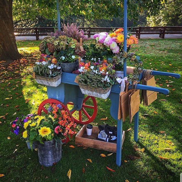 MyStreatham's tweet photo. 💐 #flower stall at @therookerymarket thanks @antonchevron for sharing. #mystreatham #streatham #streathamhill #streathamcommon #streathamvale #furzedown #streathamhighroad #southlondon #swlondon #london #londontown #londoner #igerslondon #thisislondo… https://t.co/LvUxgf95ny https://t.co/lkFtvKeypS