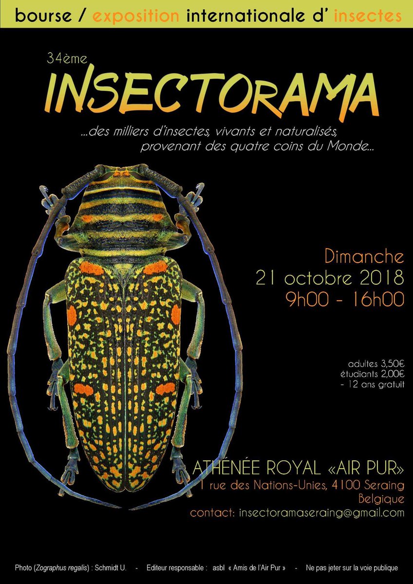 BrandonSerlez2's tweet photo. Bonjour a tous je fais ma pub mes amis Franco Pavan et Silou Driessen font une bourse de phasmes aujourd hui de 09h00 a 16h00 à l athénée Royal de l air pur de Seraing ils vous attende très nombreux... des personnes a l écoute, gentil.. je vous les conseils 😁 merci pour eux B.S https://t.co/cR0YzPX8tK
