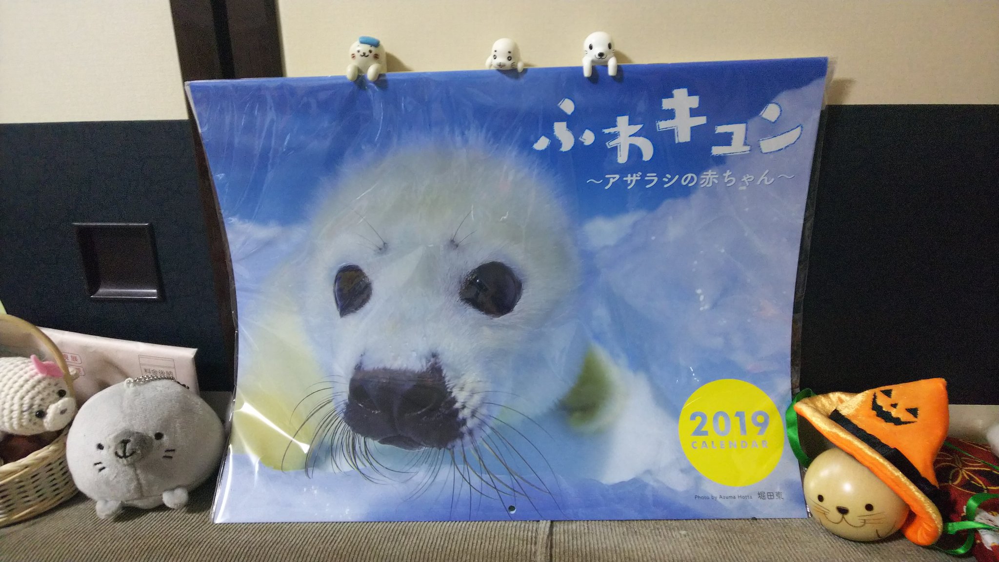 ゴマちゃん 来年のカレンダー買いました 全部アザラシ赤ちゃんのは珍しい ヽ ノ アザラシ あざらし 19年カレンダー T Co Ce2ucsdeze Twitter
