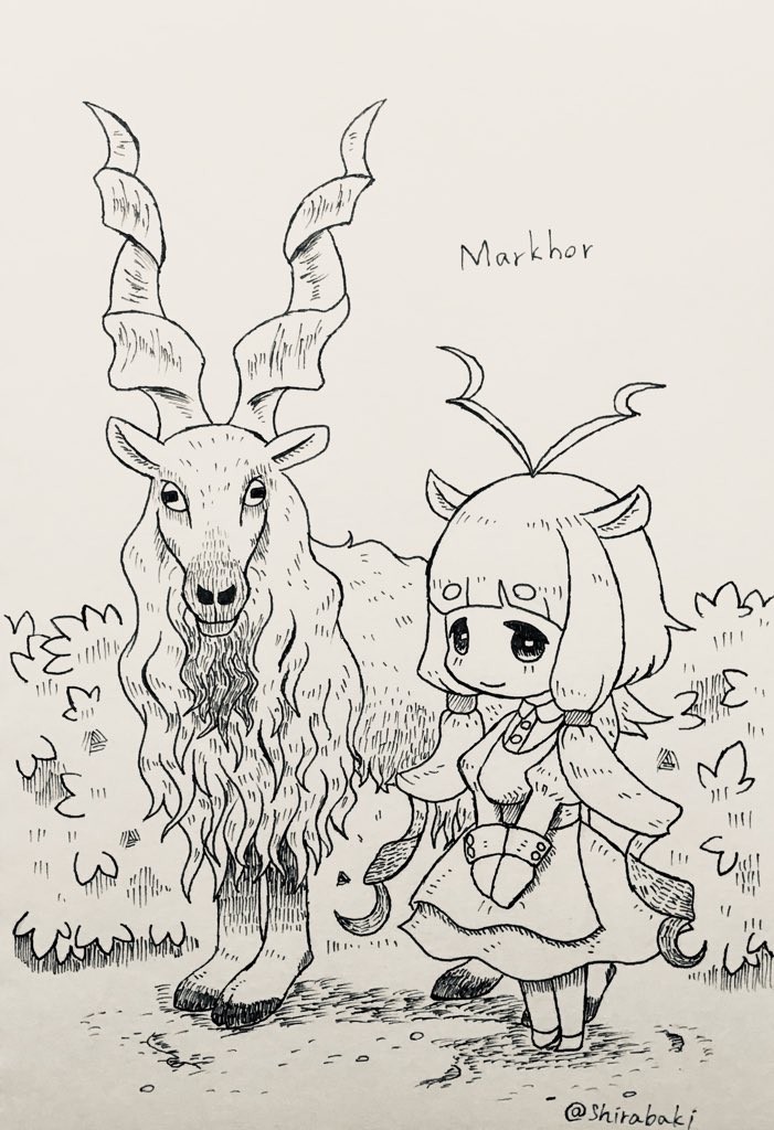 しらばき けものフレンズ マーコール あなたはヤギね はい ヤギです ドリル角難しかった しらばき けものフレンズ マーコール あなたはヤギね はい ヤギです ドリル角難しかった