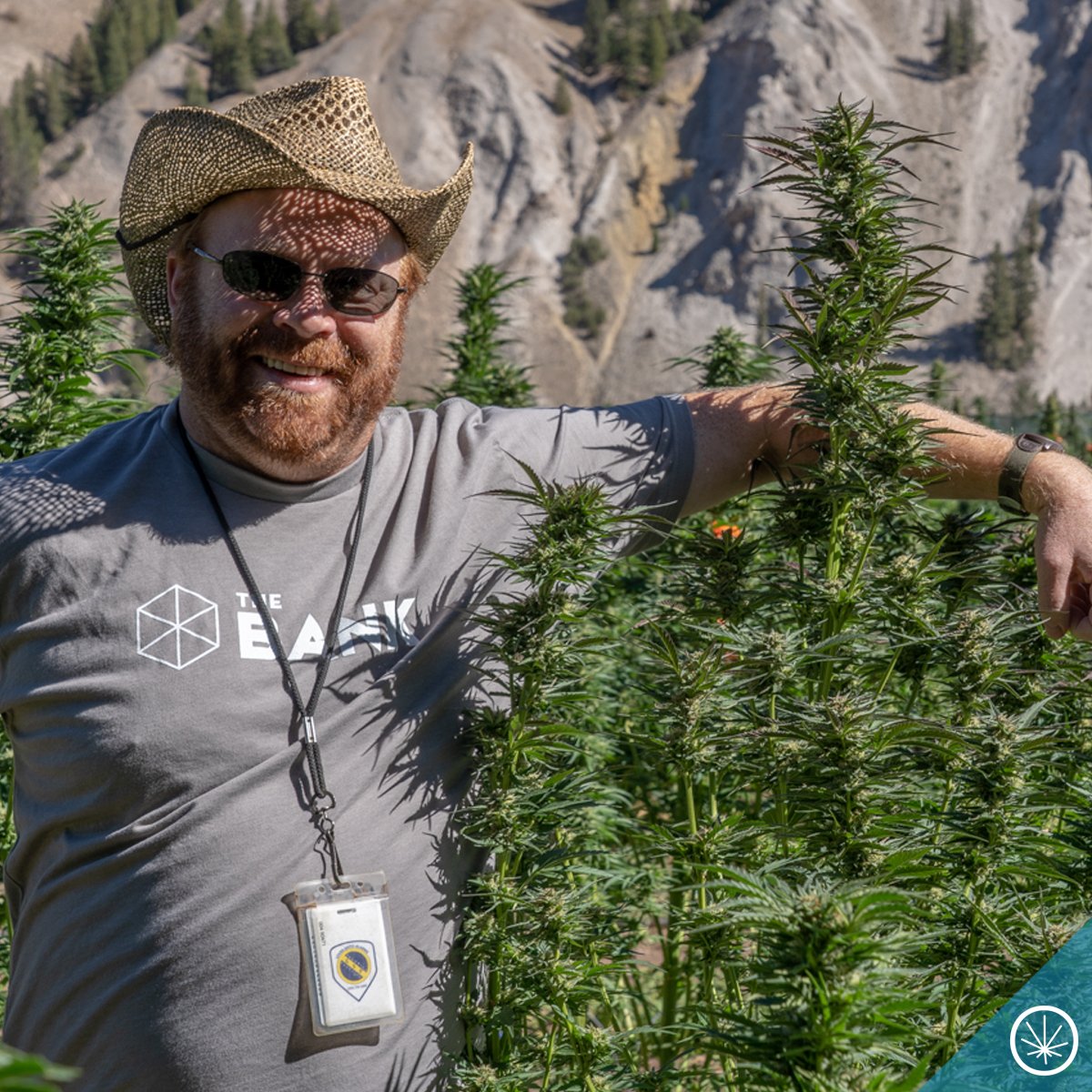 potzero420's tweet photo. 🎶 "People, let me tell you 'bout my best friend!" 🎶
Go ahead... tag your #BFF 🤗 
@TheBankGenetics 🙌🏽 #PotZero https://t.co/d0Von3u9N4