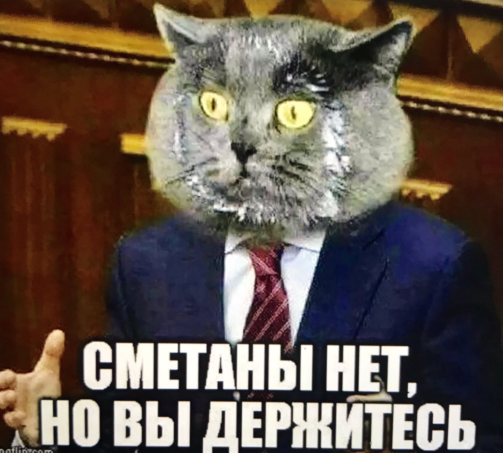 Смешные картинки сметаны, смешное жизни картинках
