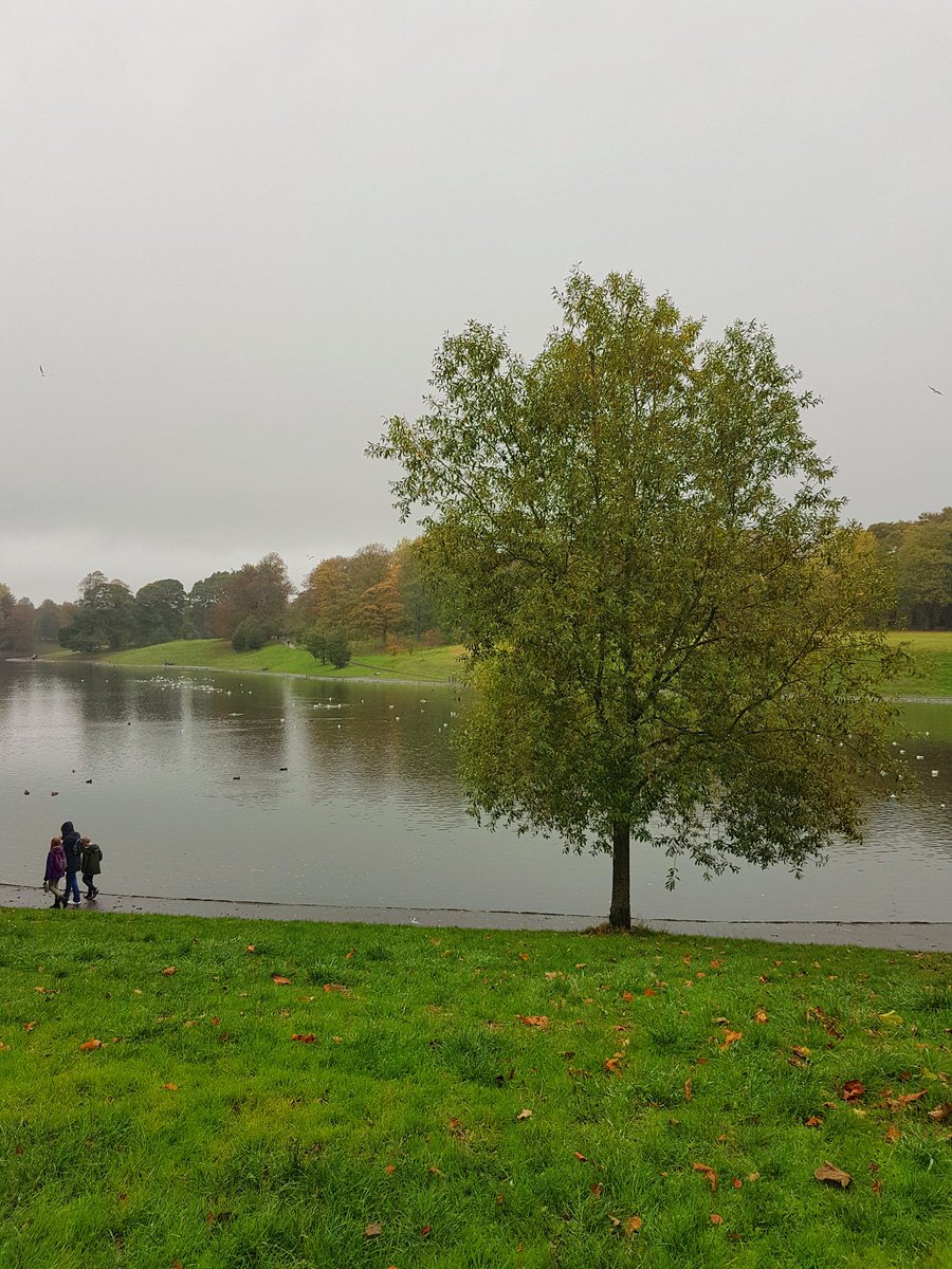 p_longfootphoto's tweet photo. Even on a wet day Sefton Park Liverpool is lovely. #seftonpark @LiverpoolParks @SeftonParkVG @angelcakepics @YOLiverpool @scousescene @Beau_Liverpool https://t.co/XgECtVNg5d