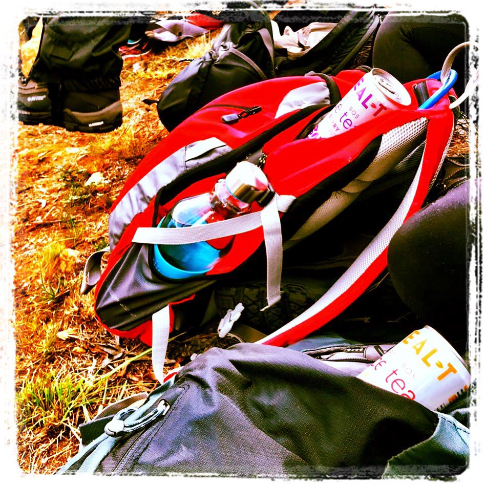 realteabev's tweet photo. Look what snuck into your bags for the hike. #realtea #surprise #hike #summervibes #nature #sunshine #icetea #refreshing #dayout https://t.co/RWa0cw48je