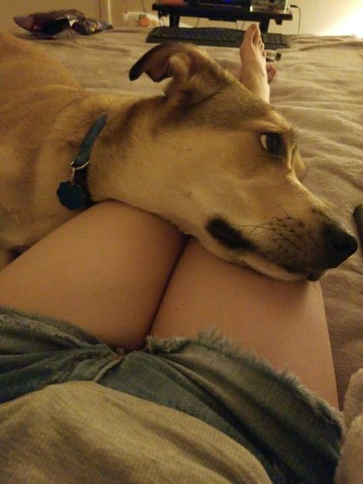 He's a big baby. Lol https://t.co/qDpkCyIi2m<a href="/tag/onmfc"class="tags"><span>#onmfc</span></a>