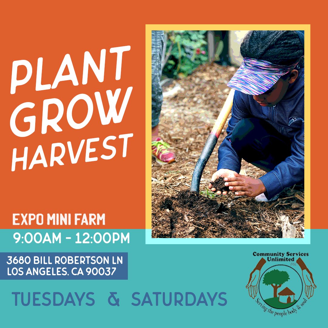 CSUINCLA's tweet image. Volunteer with us Sat &amp;amp; Tues mornings from 9am to 12pm at our Expo Mini Farm! Please check social media &amp;amp; our website calendar as sessions are cancelled sometimes due to big events in the area &amp;amp; rain!
.
.
#csuinc #expofarm #urbanfarming #sustainable #farming #foodjustice #compost