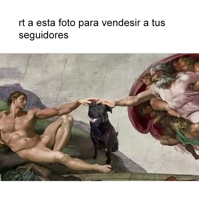 jezucrihto xd tweet media