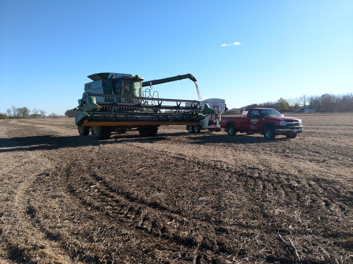 RustyEddie41's tweet photo. @Brian_Pierzina got into some awesome beans yesterday. He used @CROPLANseed on his home farm this year. His 2124s checked just under 70bu/ac on a Dickinson fine sandy loam soil. Planted the first week of May in Trempealeau, WI. #Harvest18 https://t.co/7E6ZWStYsU