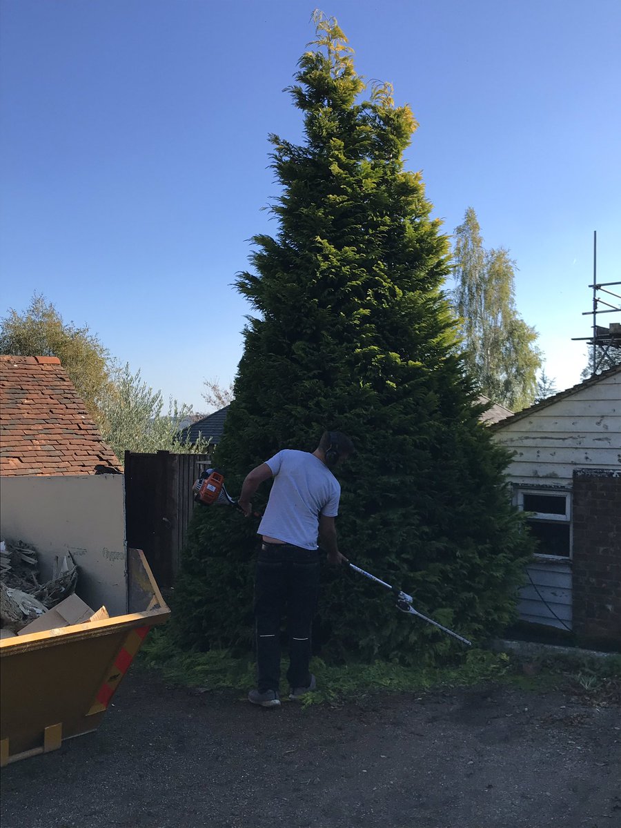 JCMeetingRoom's tweet photo. Busy day taking down the old sign and sorting the conifer out ready for the Christmas lights! Beautiful day for it 😎🎄 https://t.co/7F7IdnErbq